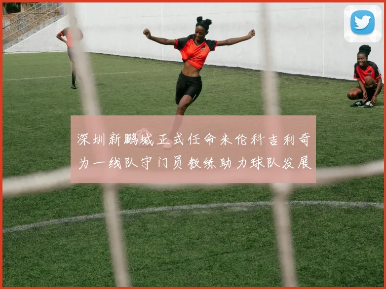 深圳新鹏城正式任命米伦科吉利奇为一线队守门员教练助力球队发展